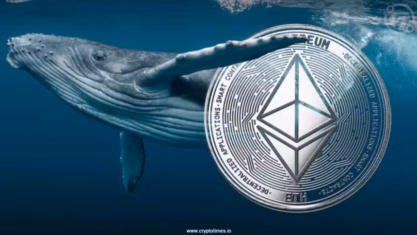 Ethereum Whale prodává 2 375 ETH za nízký zisk uprostřed krachu trhu